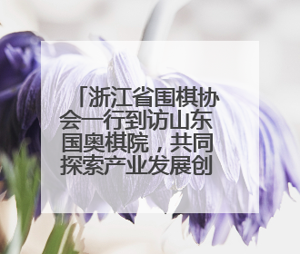 浙江省围棋协会一行到访山东国奥棋院，共同探索产业发展创新路径